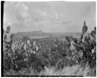 Diamond Head from Punch Bowl, Hawaii, 1928