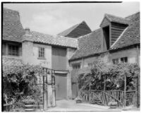 Small garden in the courtyard outside a house, Cambridge, England, 1929