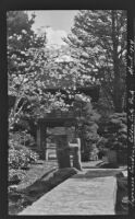 Path to the temple gate at the entrance to the Japanese Village, Golden Gate Park, San Francisco, 1924