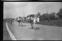 Men leading mules laden with packages down a paved road, Europe, late 1920s