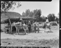 Group of children and some adults with mules between Ronda and Murcia, Spain, 1929