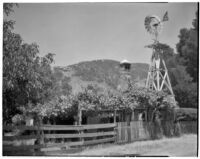 Windmill, fenced area, small building with arbor, Channel Islands, 1934