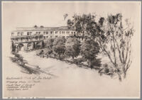 Planting study, Automobile Club of Southern California, Los Angeles, [circa 1920s]