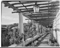 James R. Martin residence, pergola, Los Angeles, 1931