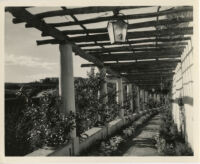 James R. Martin residence, pergola, Los Angeles, 1931 — Calisphere