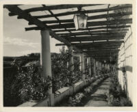 James R. Martin residence, pergola, Los Angeles, 1931