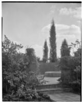 W. R. Dunsmore residence, view towards terrace, Los Angeles, 1930