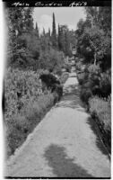 La Mortola botanical garden, main garden axis with view of lavender plants, Ventimiglia, Italy, 1929