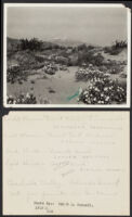 Desert landscape with a view of the San Jacinto Mountains, Indian Wells, 1920