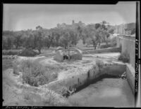 Animal driven water pump and city in the distance, Benidorm, Spain, 1929