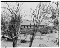 Rancho Los Cerritos, side view of decaying house and grounds, Long Beach, 1930