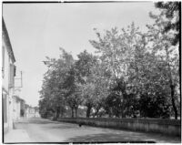 Road lined with buildings on one side and trees on the other, Europe, 1929