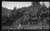 Rosita Dee Cornell sitting in a field with Blueblossom behind her, Sierra Madre, 1932