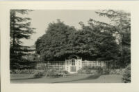 S. Oxford Street, trellis gateway and fence surrounded by trees, Los Angeles, 1931