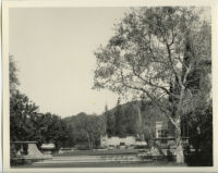 Harvey Mudd residence, broad view of grassed terraces, Beverly Hills, 1933