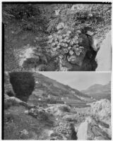 La Mortola botanical garden, two views of flowers growing on a rocky hillside, Ventimiglia, Italy, 1929