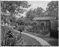 A. G. Mersy residence, back yard with rose standards, lawn and lathhouse, Pasadena, 1933