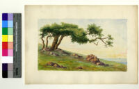 Watercolor painting of a tree on a coastline by Ralph Cornell