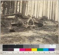 Redwood Region. Tractor (Cletrac and Carco arch) on Dolbeer and Carson operation above Elk River. 7-10-36. E.F