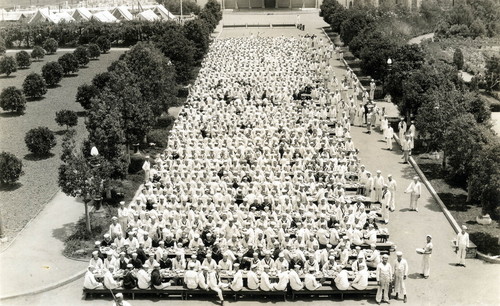 Sailors chow at open air mess, Balboa Park, 1917