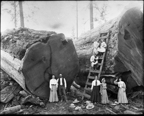 Logging, Group portrait at Millwood logging site. Early 1900's. Misc. Groups. Woman and children