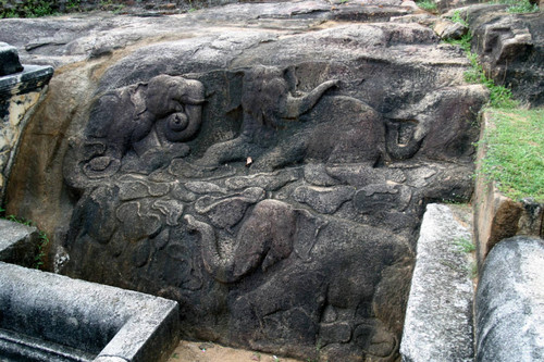 Goldfish Park: Bathing pool: chamber: Stone bed: Bas-reliefs: Elephant carving: Elephants in bas-relief