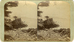 [View on the Pacific Ocean, Monterey, Cal., Sentinel Rock]
