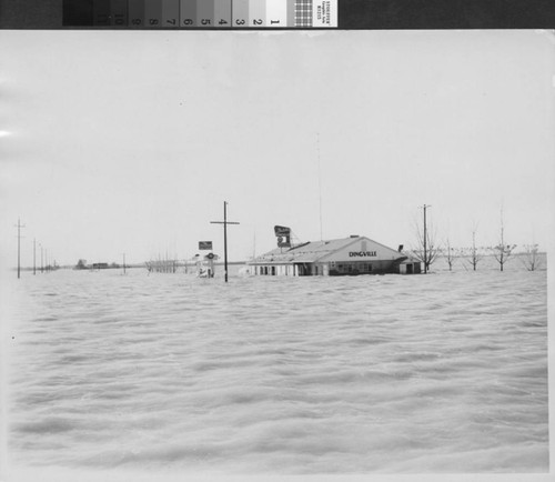 Photograph of Dutch's Dingville Groceries & Restaurants in Sutter County (Calif.) after 1955 flood