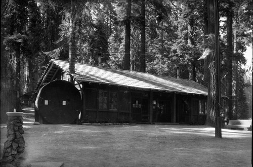 Buildings and Utilities, Exhibits, Giant Sequoia Sections, Giant Forest Museum