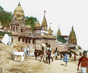 Cow and temples, India, ca. 1930