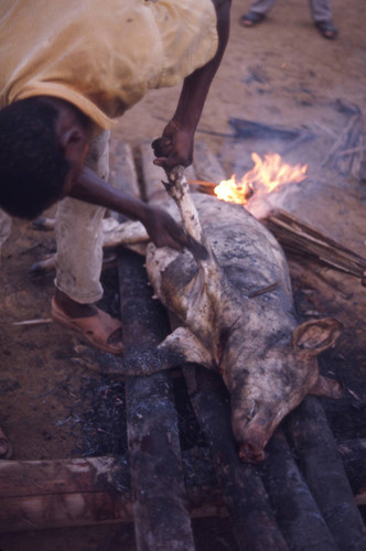 Man cooking a pig, San Basilio de Palenque, 1976