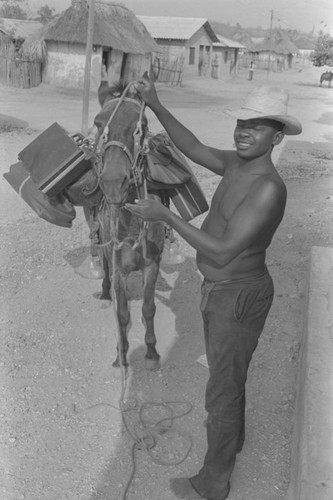 Man putting bridle on mule, San Basilio de Palenque, ca. 1978