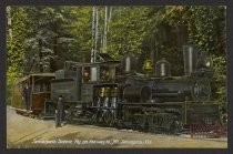 Mt. Tamalpais and Muir Woods Scenic Railway train