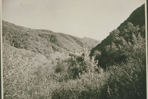 Upper Temescal Canyon, Calif
