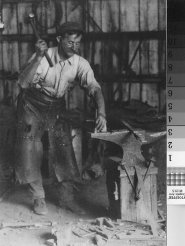 Blacksmith Nigg