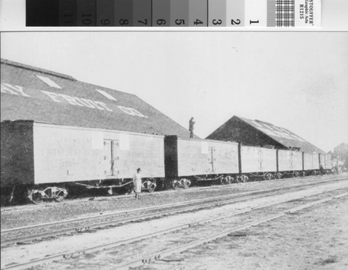 Refrigerator cars row