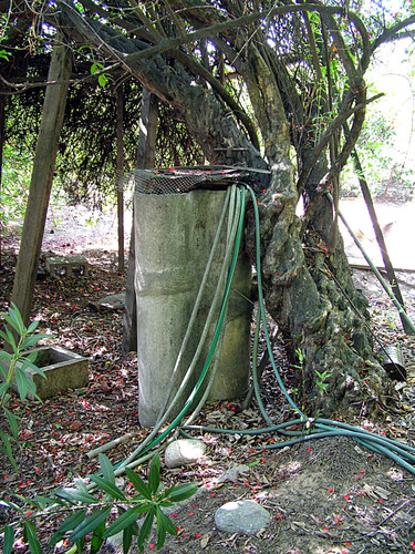 Irrigation node with hoses