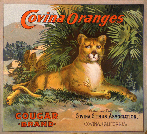 Cougar label