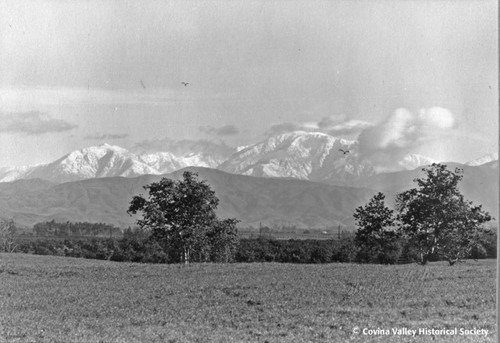 Open field view