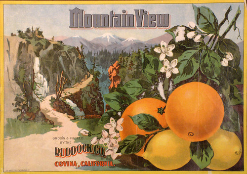 Mountain View label