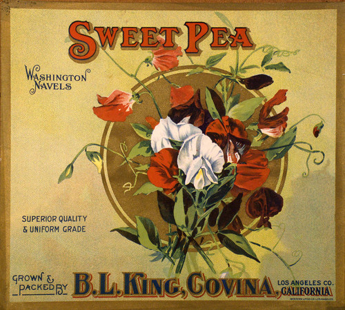 Sweet Pea label