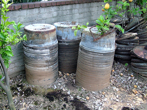 Bowl stacks