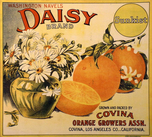 Daisy label