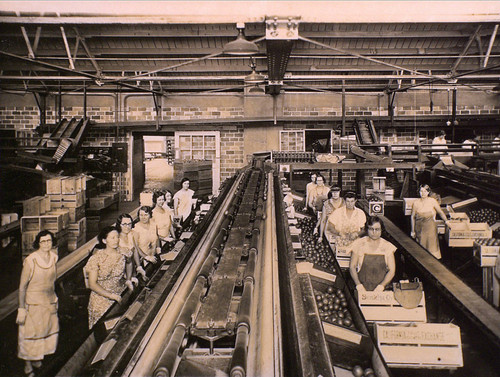 Inside packing house — Calisphere