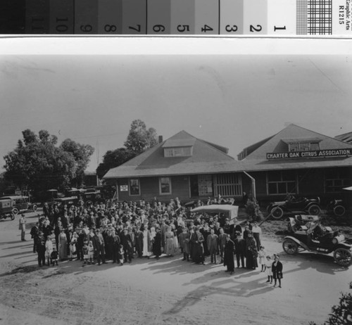 Charter Oak Citrus Association