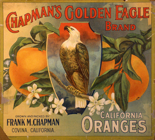 Chapman's Golden Eagle label