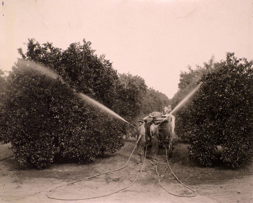 Two men spraying