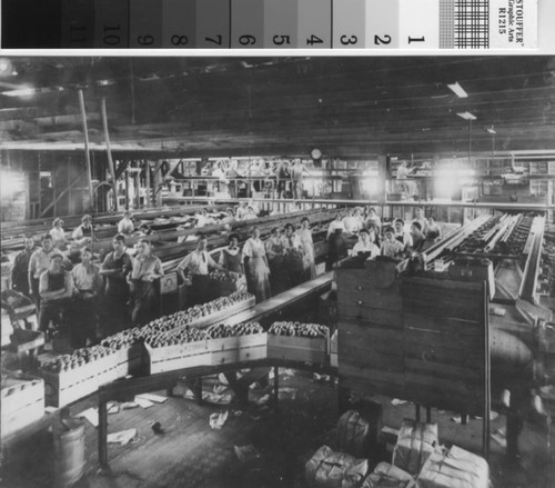 Belts & crates