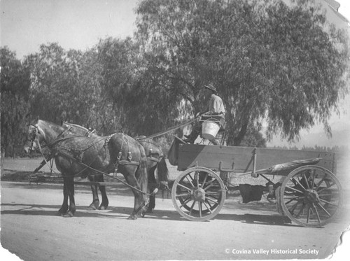 Horse-drawn wagon