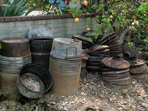 Bowls, lids and lemons